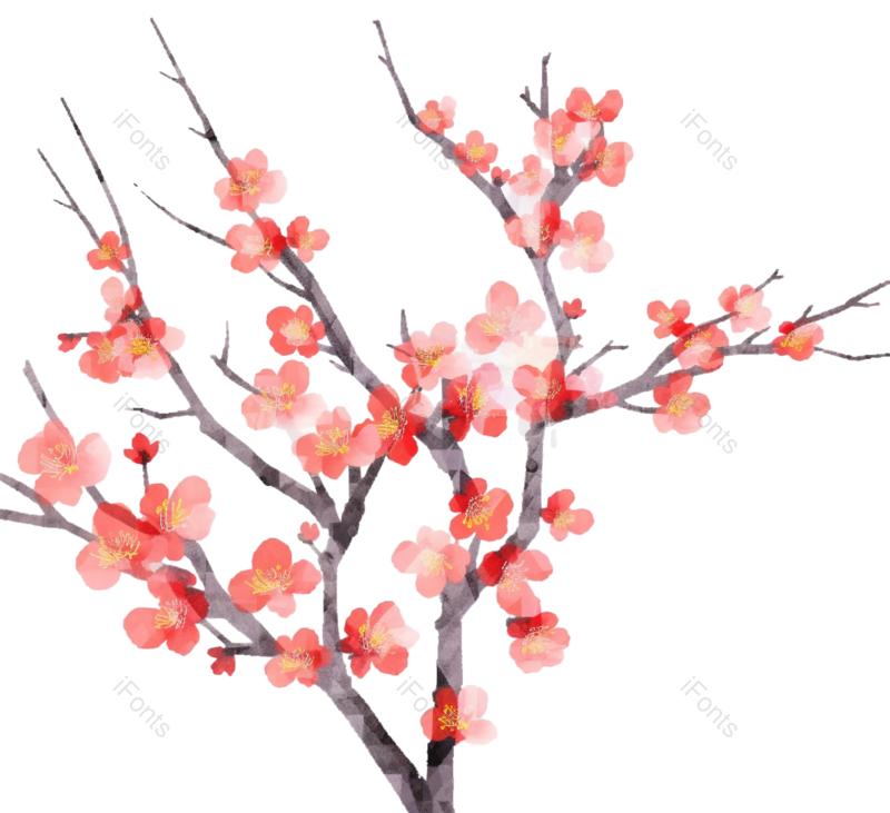 粉红色的花图片,白色背景元素,樱花PNG,免抠素材